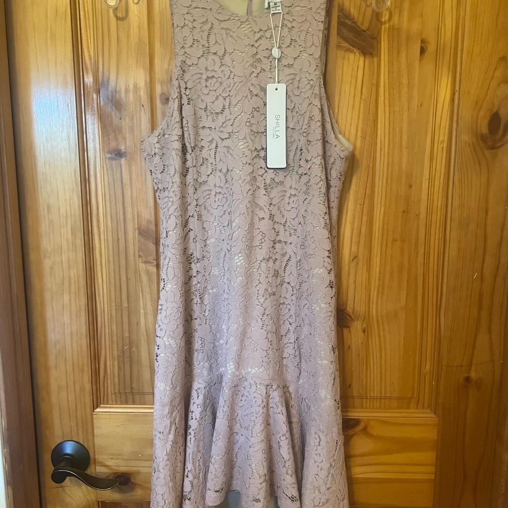 Shilla the Label Blush Drop Waist Lace Dress